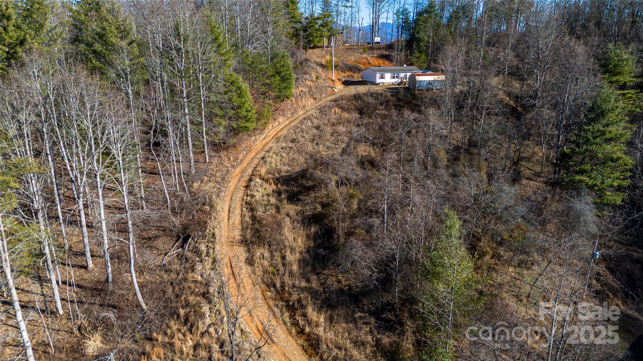 778 Smith Johnson Road Green Mountain, NC 28740 - Photo 11 of 28