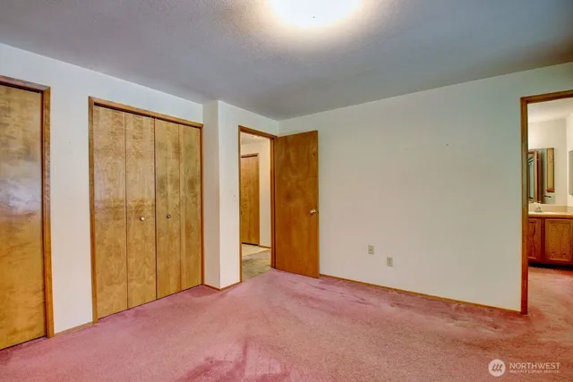 a view of a park with large trees