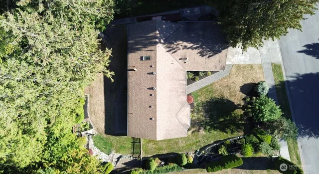 a view of a park with large trees