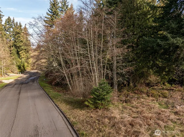 a view of a pathway both side of the road