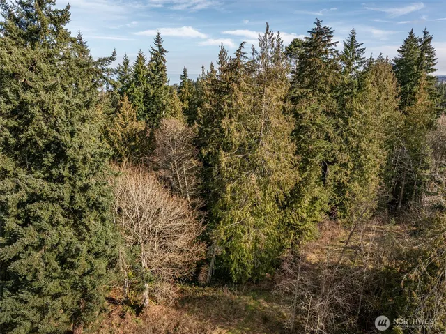 a view of a lake with a tree