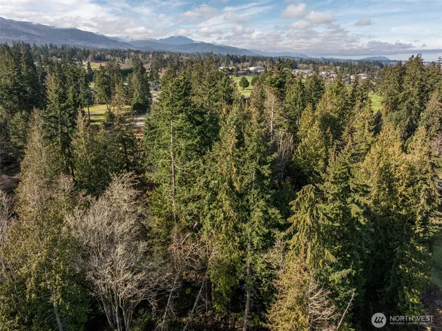 a view of lake with mountain
