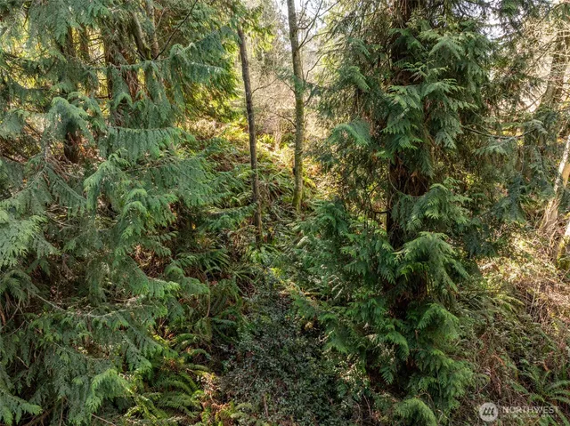 $100,000 | 9999 South Del Guzzi Drive, Port Angeles, WA 98362