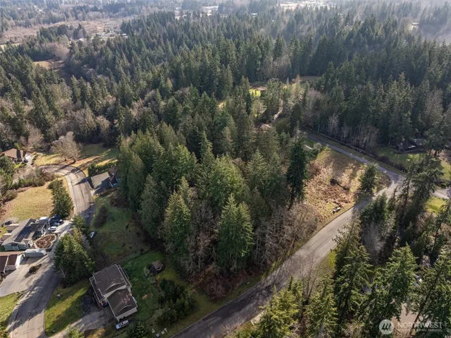 a view of a forest with a yard