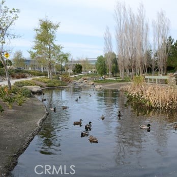 4878 Streambay Court Riverside, CA 92505 - Photo 33 of 34 Riverwalk parkway with trail, pond, ducks & gazebo.