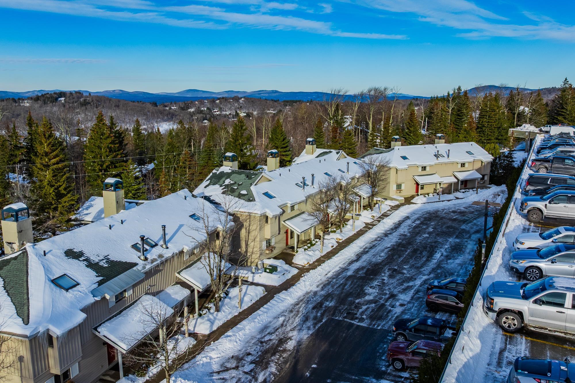 92 Founders Hill Road, Unit 5A Stratton, VT 05340 - Photo 40 of 49
