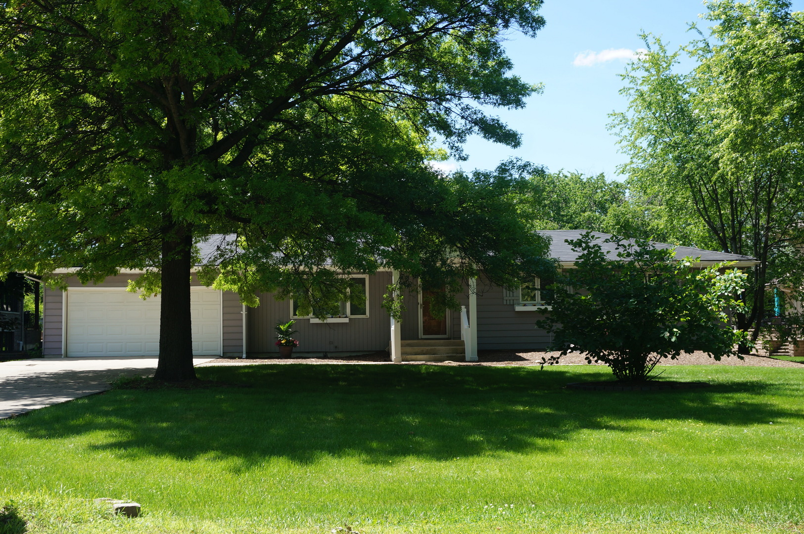 730 East Bauer Road Naperville, IL 60563 - Photo 3 of 25