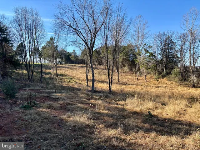 a view of a yard with trees in the background