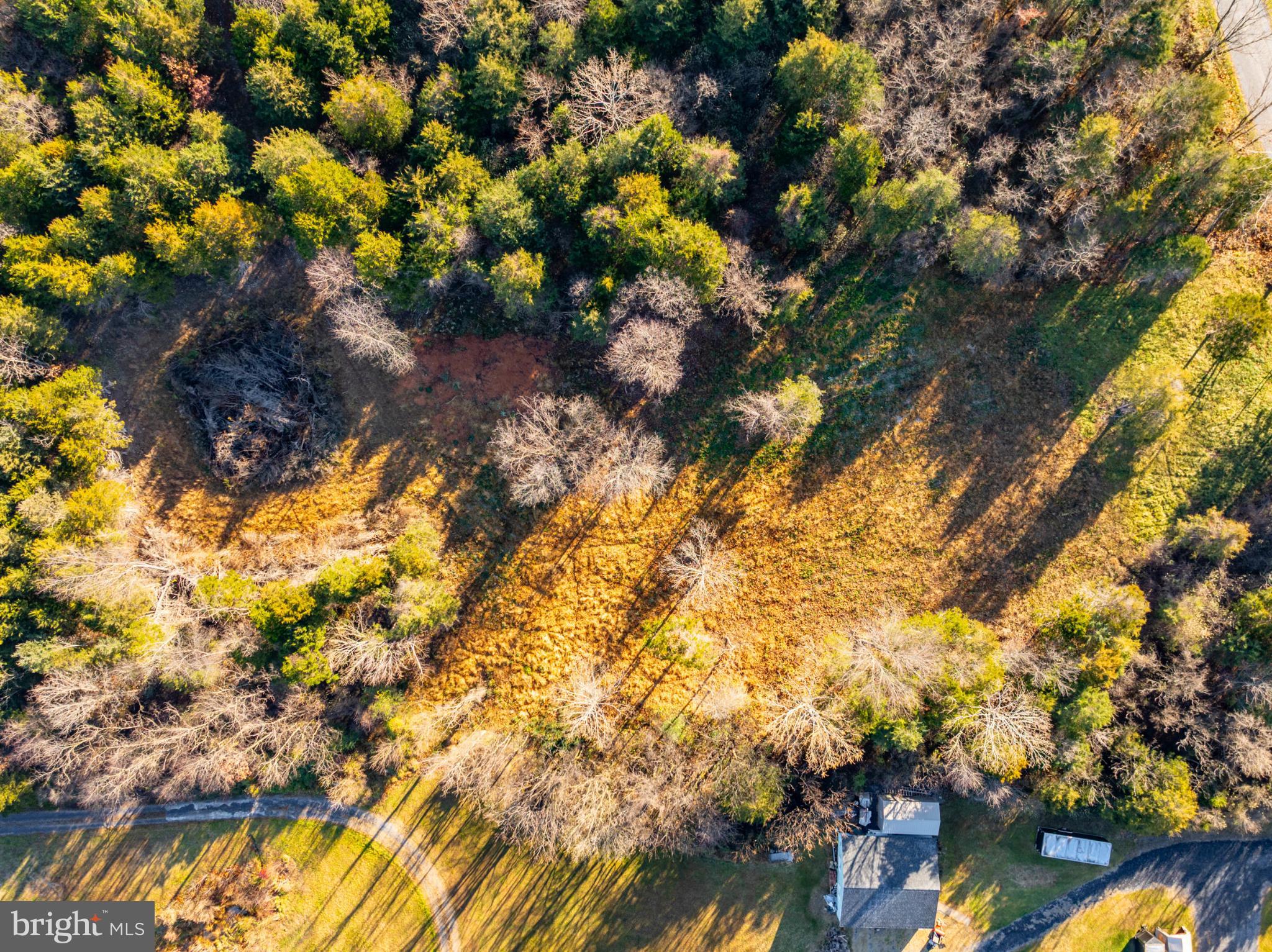 Harper Valley Road Luray, VA 22835 - Photo 20 of 32