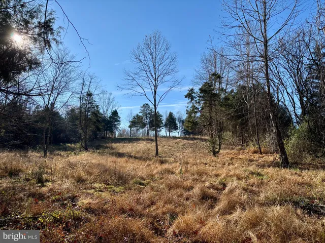 a view of swimming pool from a yard