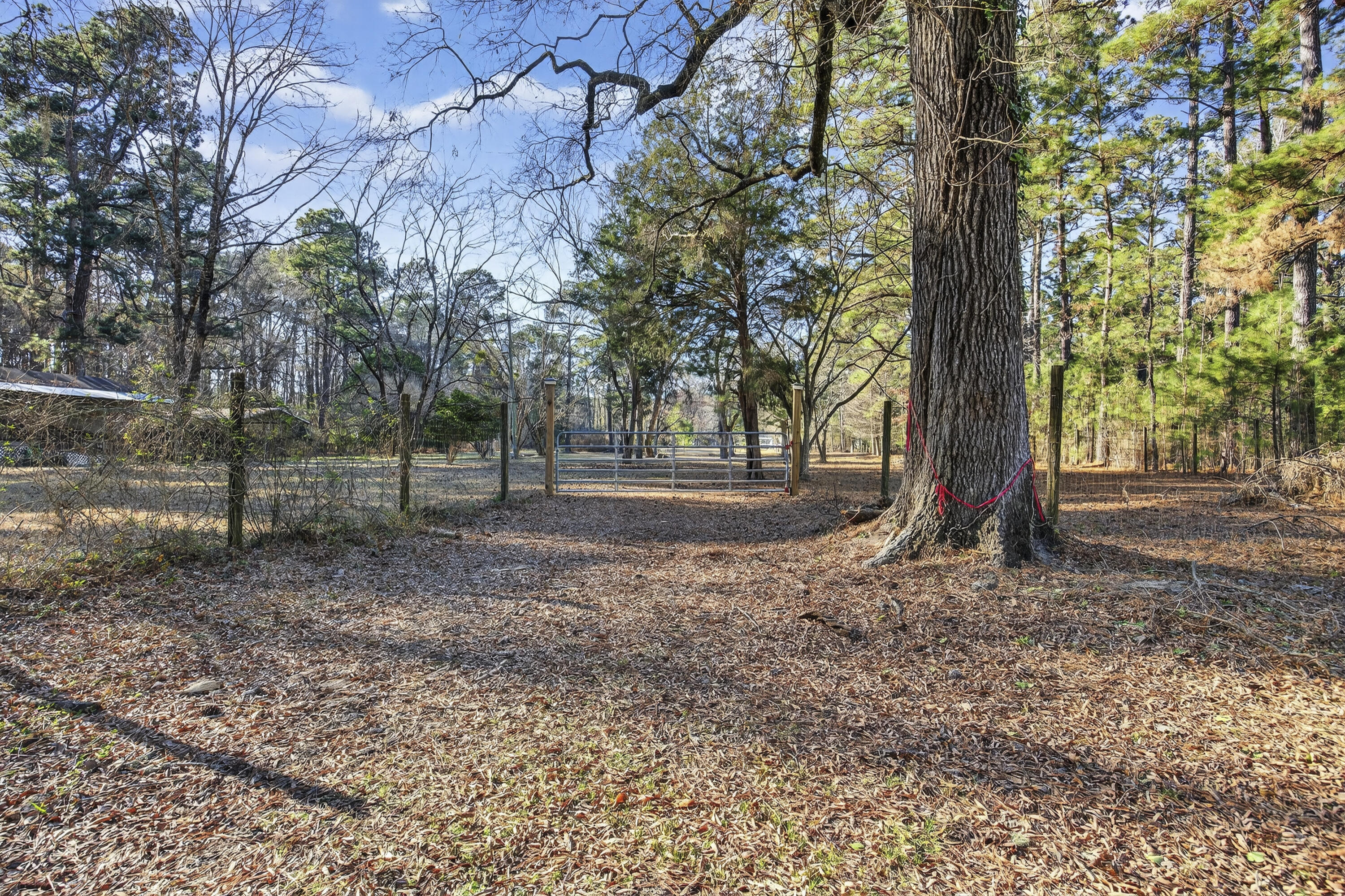 167 Mentor Road Summerville, SC 29483 - Photo 13 of 17 243A8967