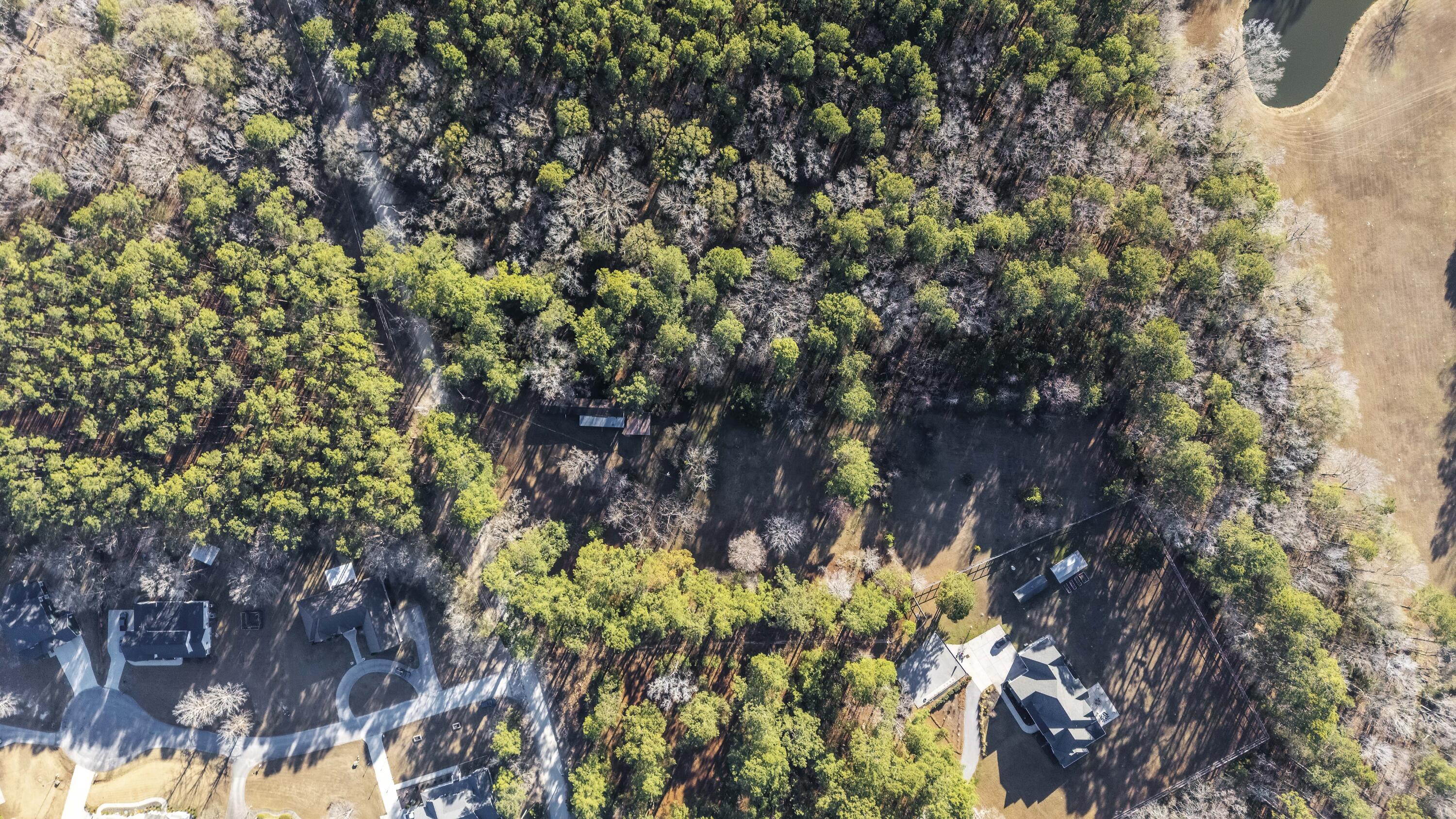 167 Mentor Road Summerville, SC 29483 - Photo 4 of 17 DJI_20260116153403_0037_D