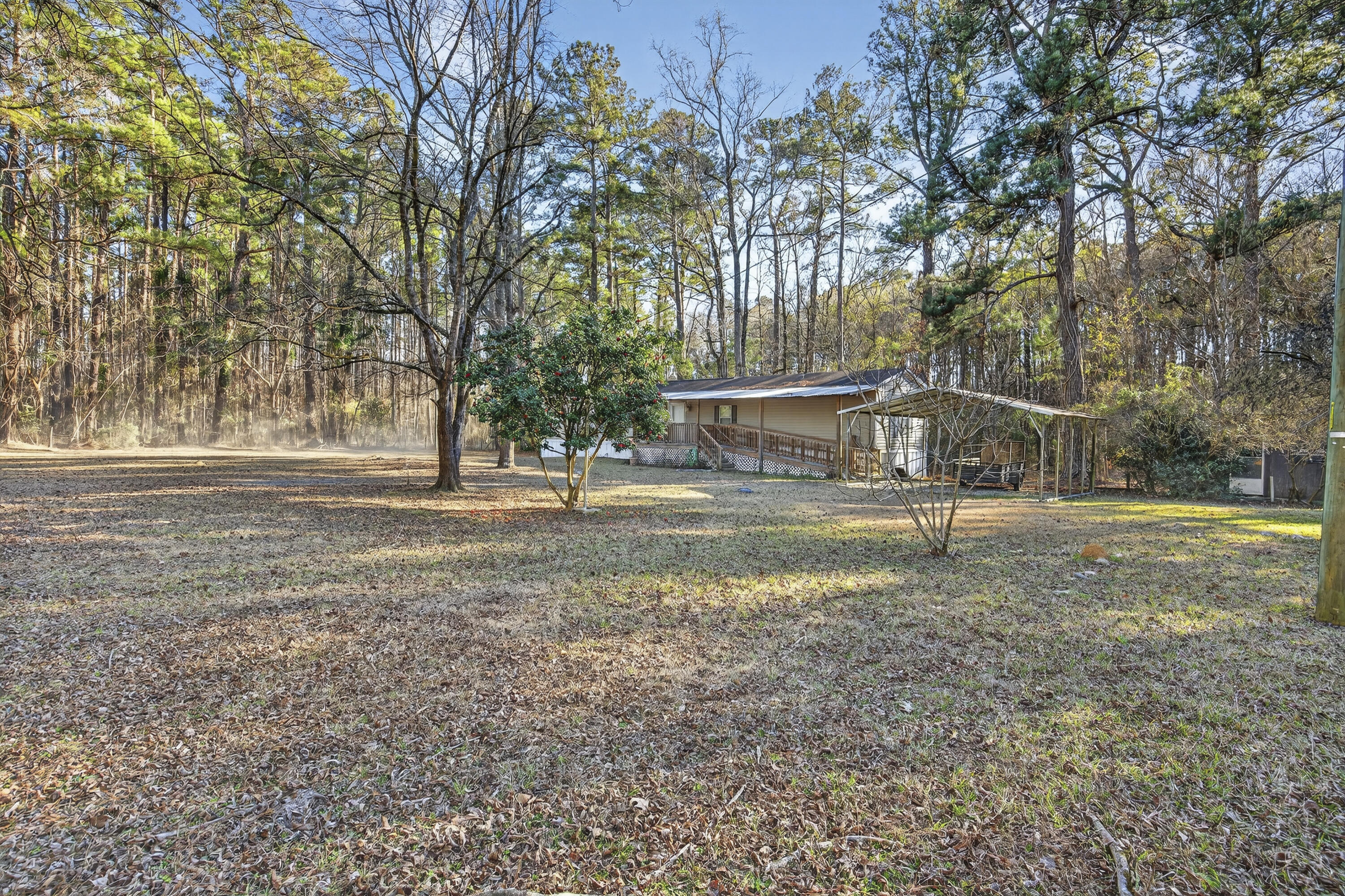 167 Mentor Road Summerville, SC 29483 - Photo 7 of 17 243A8997