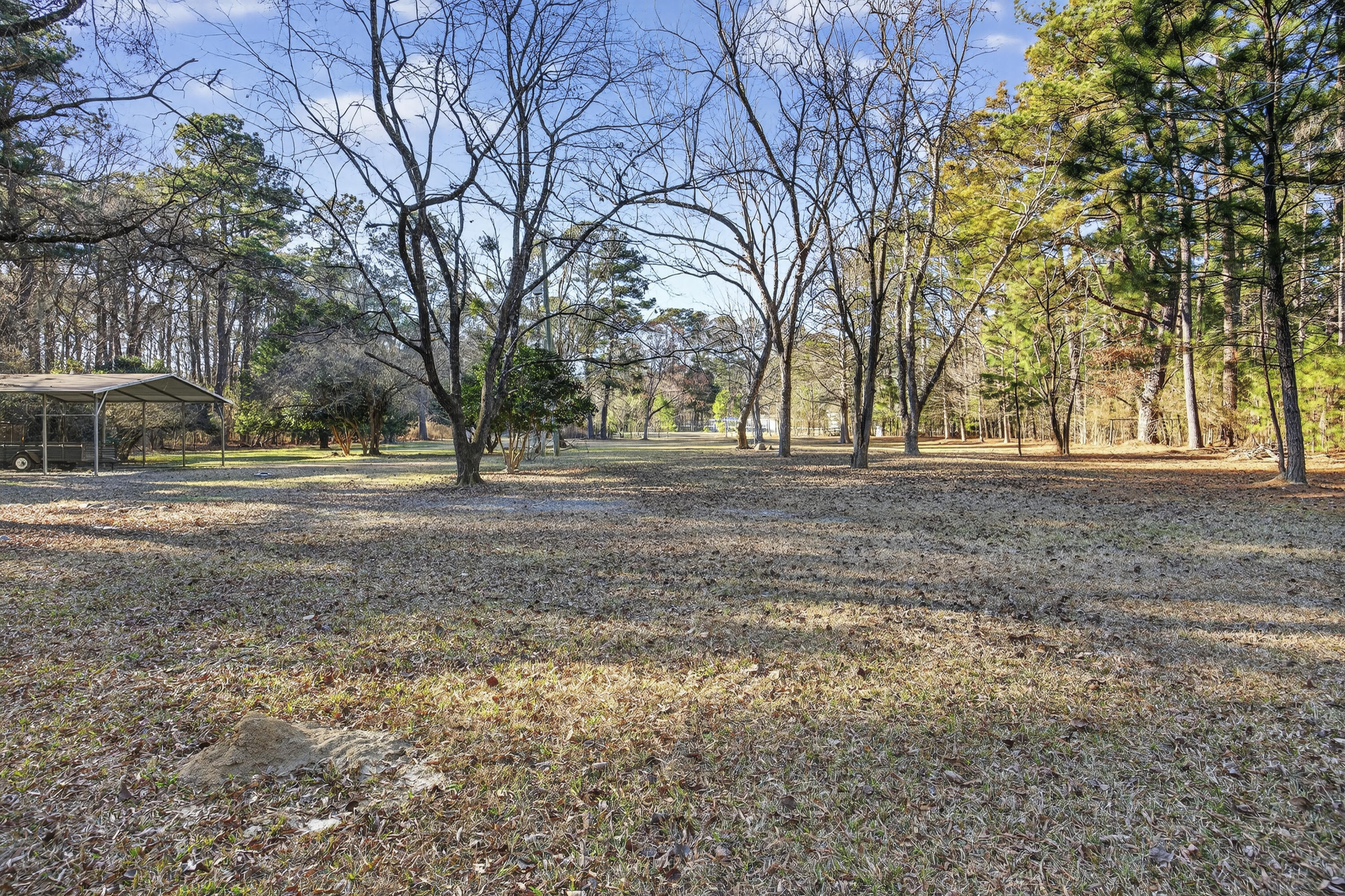 167 Mentor Road Summerville, SC 29483 - Photo 10 of 17 243A8980