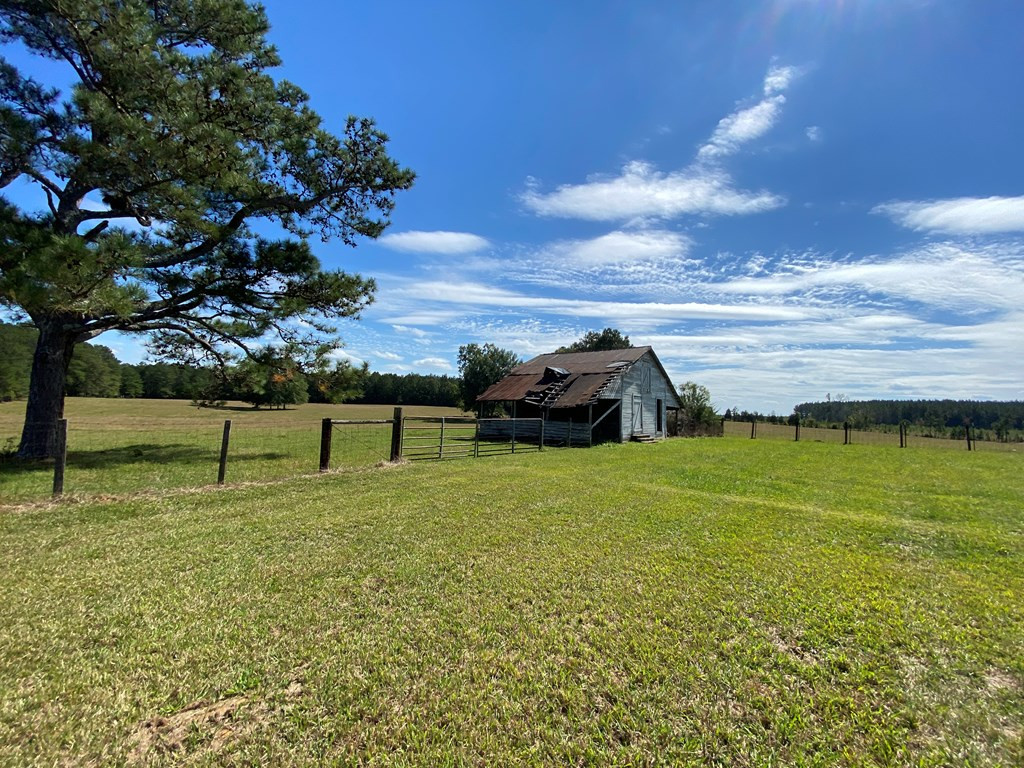 1274 North Martintown Road Edgefield, SC 29824 - Photo 15 of 32