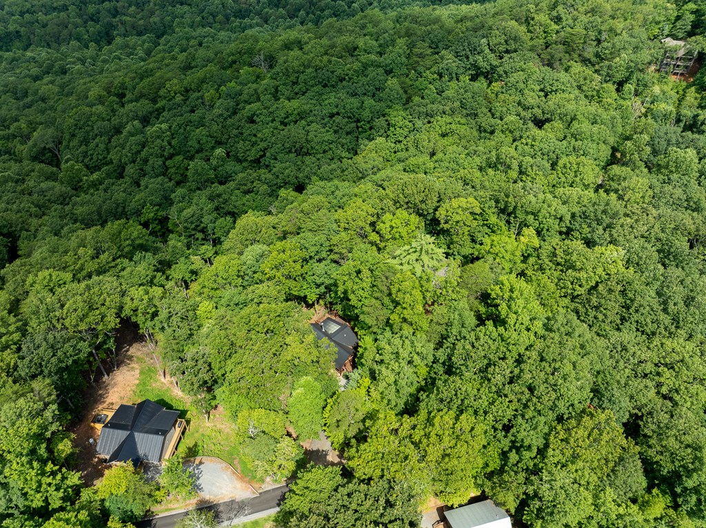 107 Little Bushy Head Road Blue Ridge, GA 30513 - Photo 43 of 43 Gallery Image 43