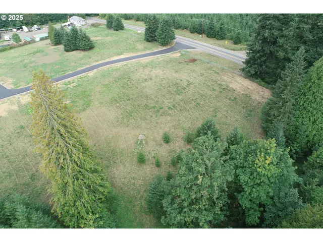 a view of a lush green space