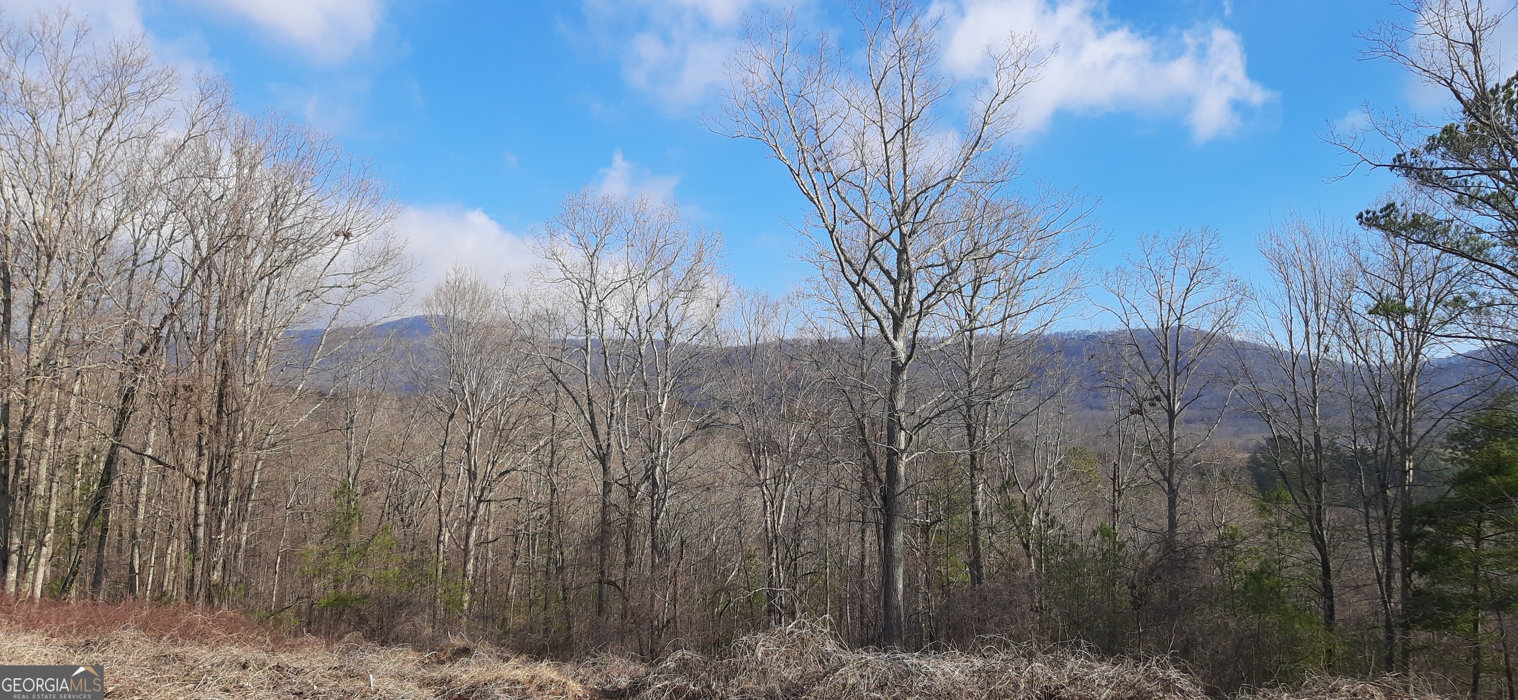 Long range view to the north