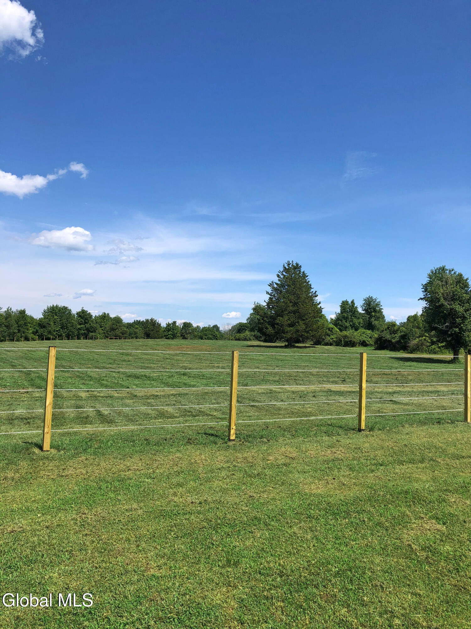 797 Western Road Schodack, NY 12033 - Photo 43 of 57 IMG_5688_Pasture