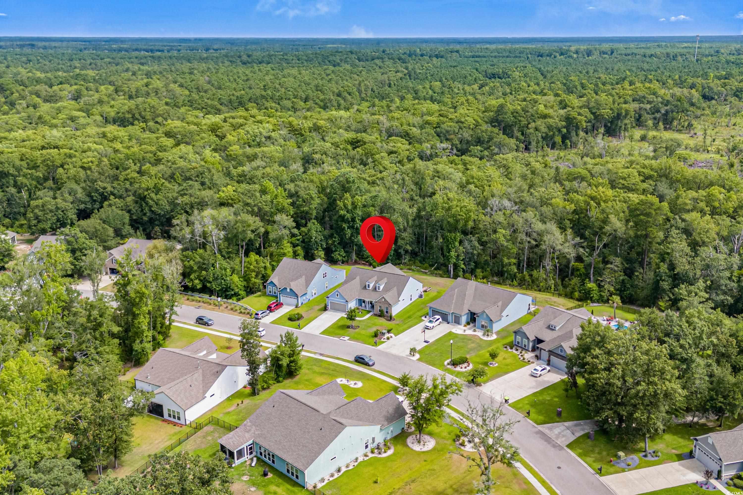 451 Trestle Way Conway, SC 29526 - Photo 39 of 40