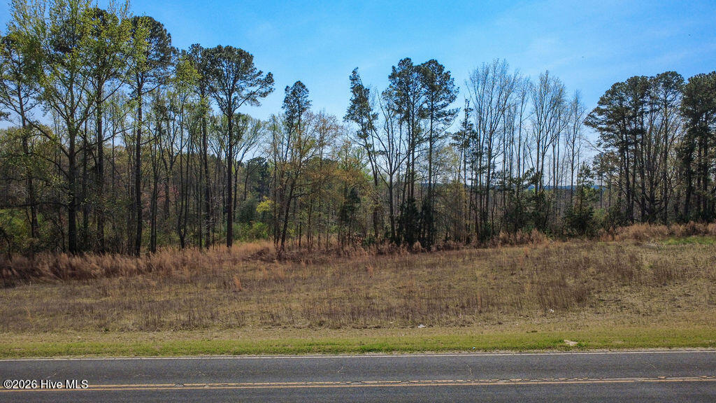 3 Connell Road Carthage, NC 28327 - Photo 6 of 15 6