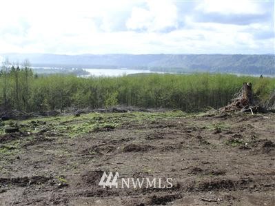-xxx Lazy Road Longview, WA 98632 - Photo 1 of 1