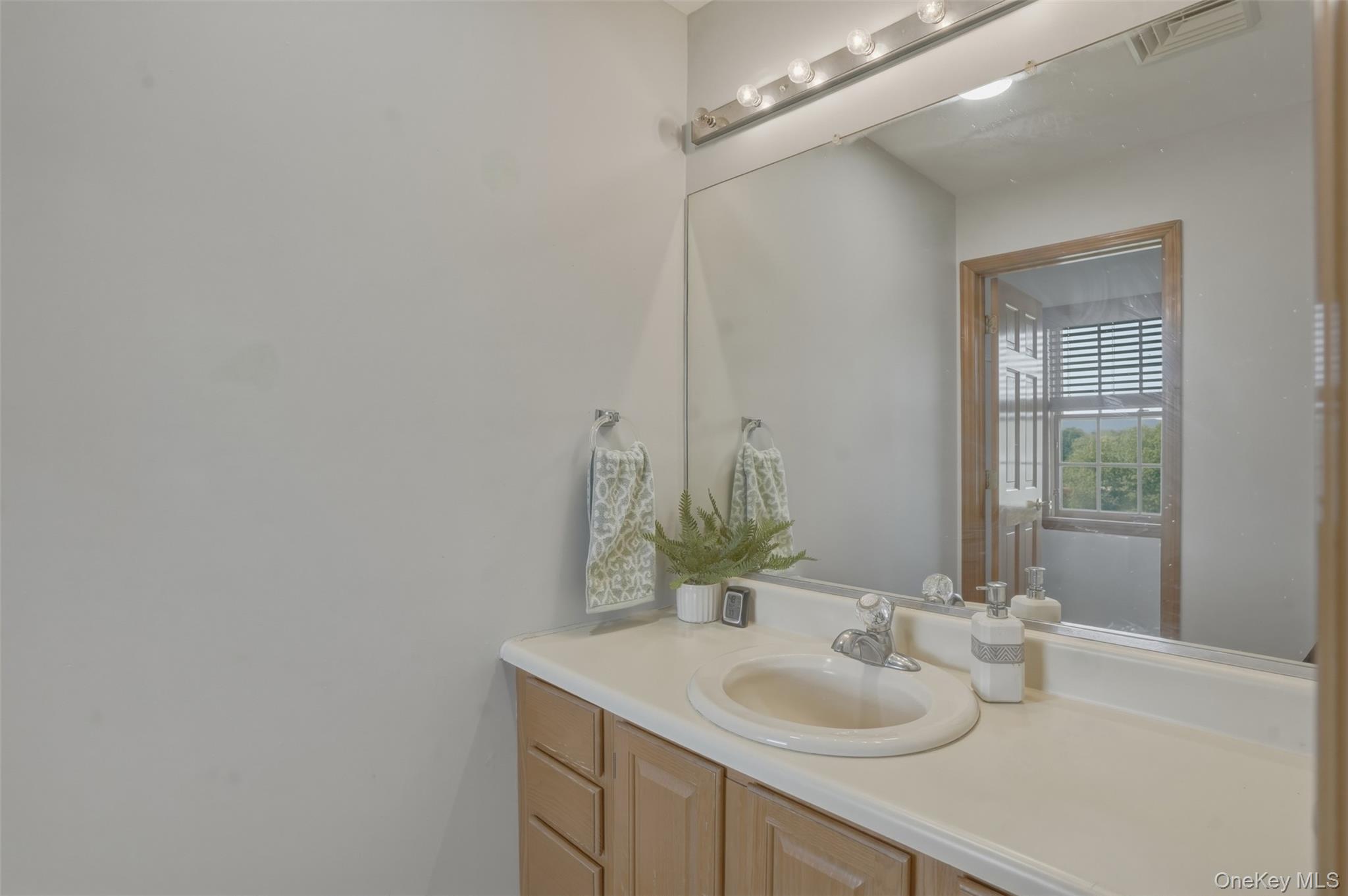 41 Saddle Ridge Drive Hopewell Junction, NY 12533 - Photo 25 of 50 Primary Bathroom