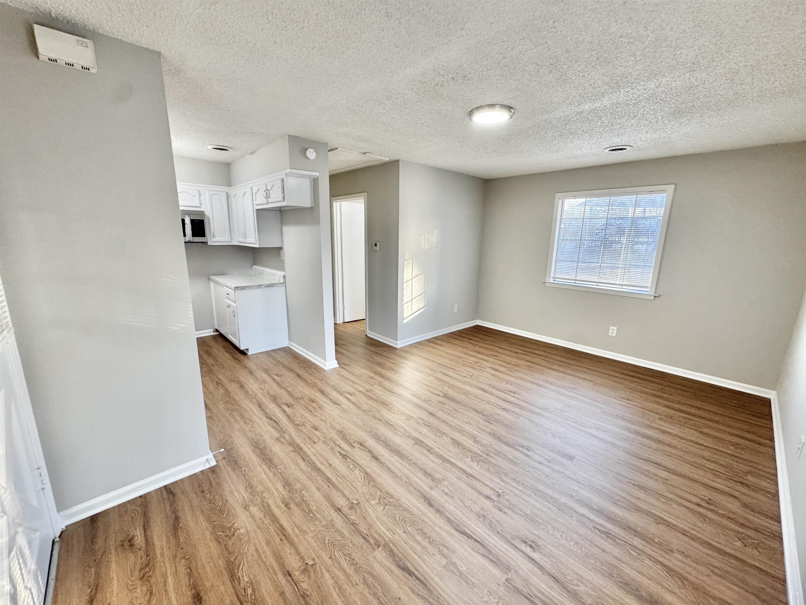 3334 Snow Ridge Cove Memphis, TN 38115 - Photo 28 of 38 Unfurnished living room with light wood-type flooring and a textured ceiling