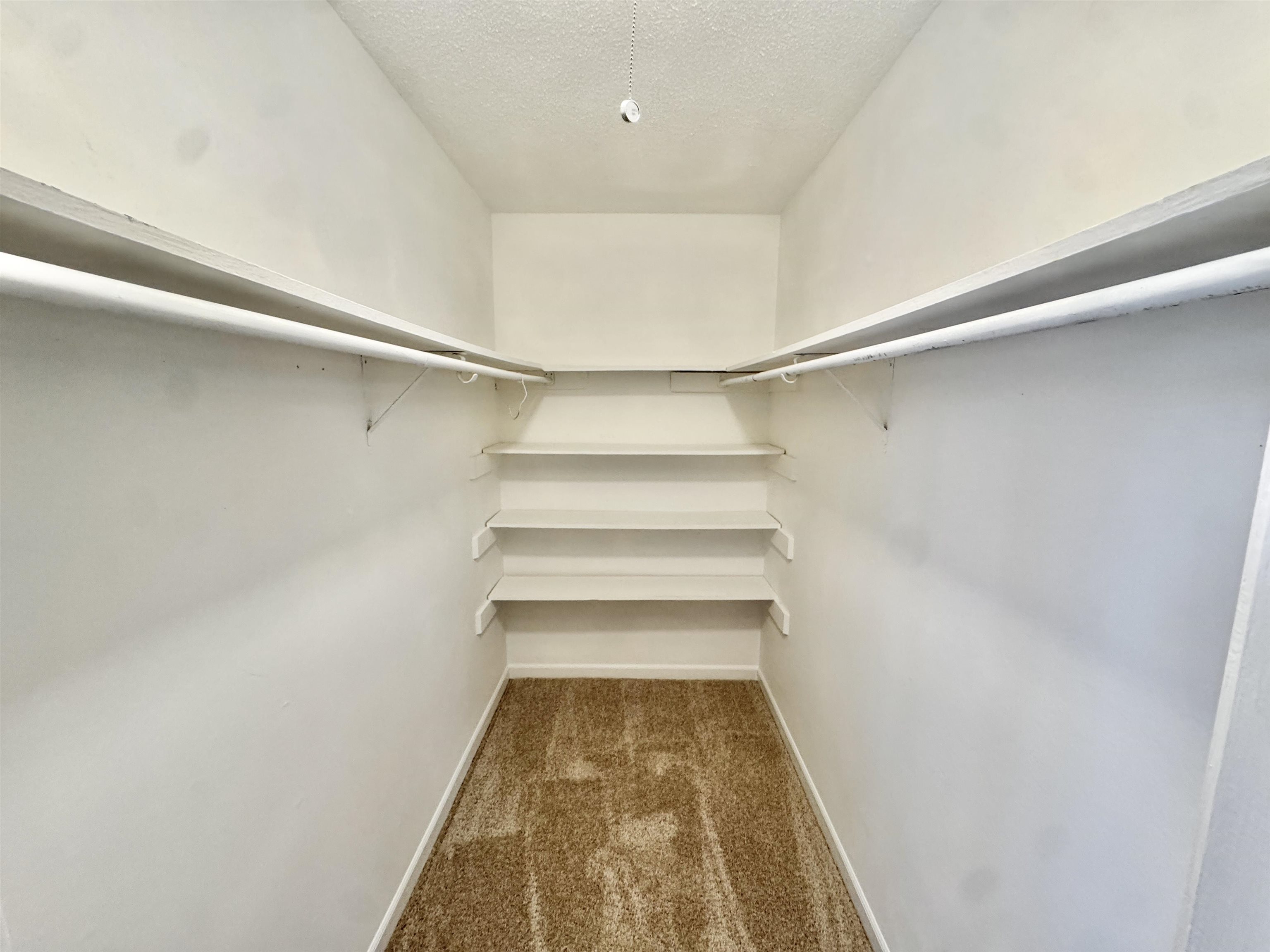 3334 Snow Ridge Cove Memphis, TN 38115 - Photo 30 of 38 Walk in closet featuring carpet flooring