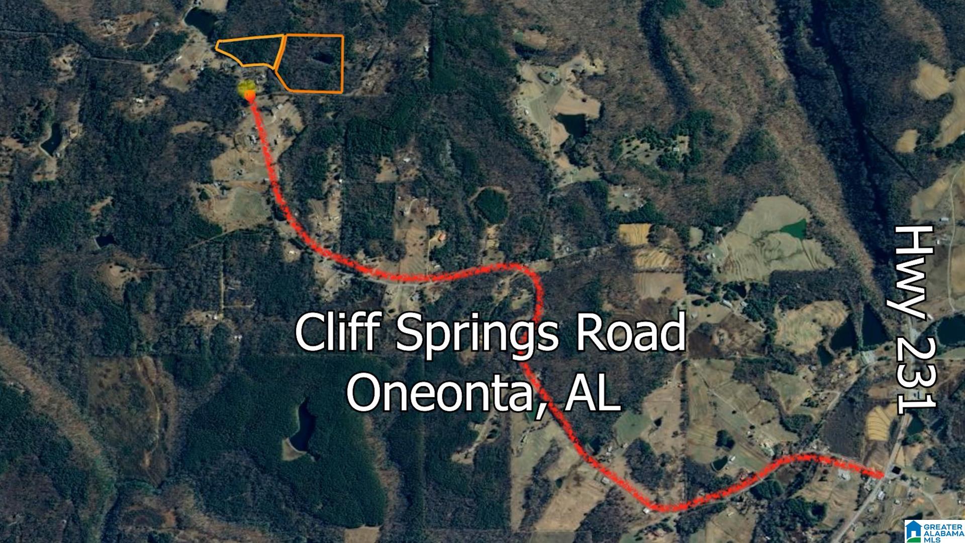 0 Cliff Springs Road, Unit 7 46 ACRES Gallant, AL 35972 - Photo 4 of 11