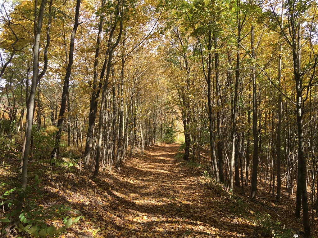 611 Faulkner Road Tompkins, NY 13856 - Photo 42 of 50 Gallery Image 42