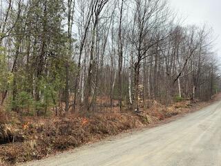 Basin Road View