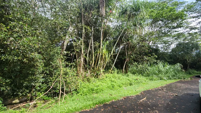 $25,900 | 1476 Ohiki Street, Pahoa, HI 96778