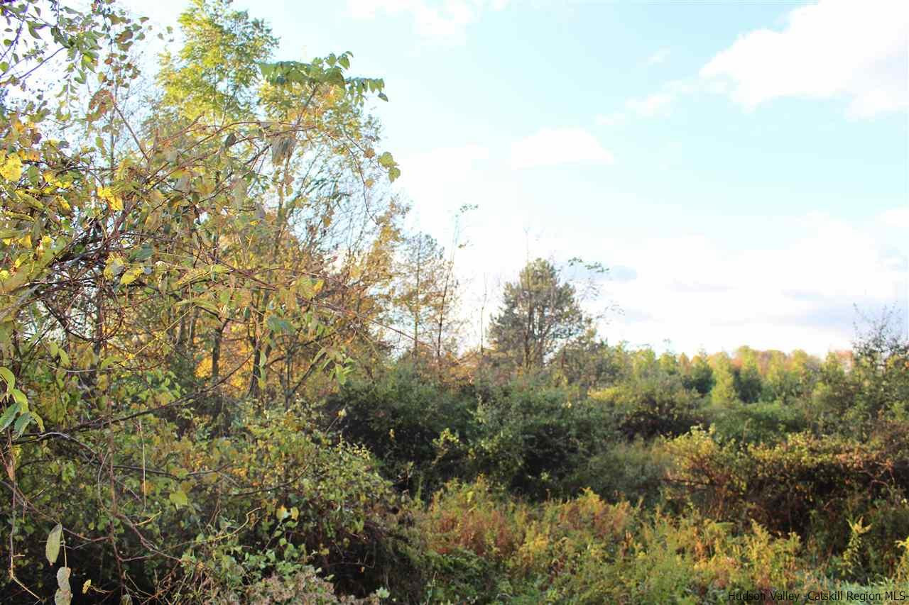 Tbd Tooley Drive Stone Ridge, NY 12484 - Photo 7 of 7 Photo 7
