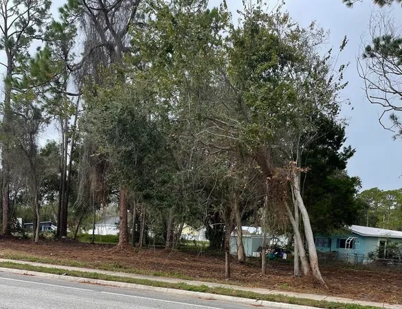 a view of a trees
