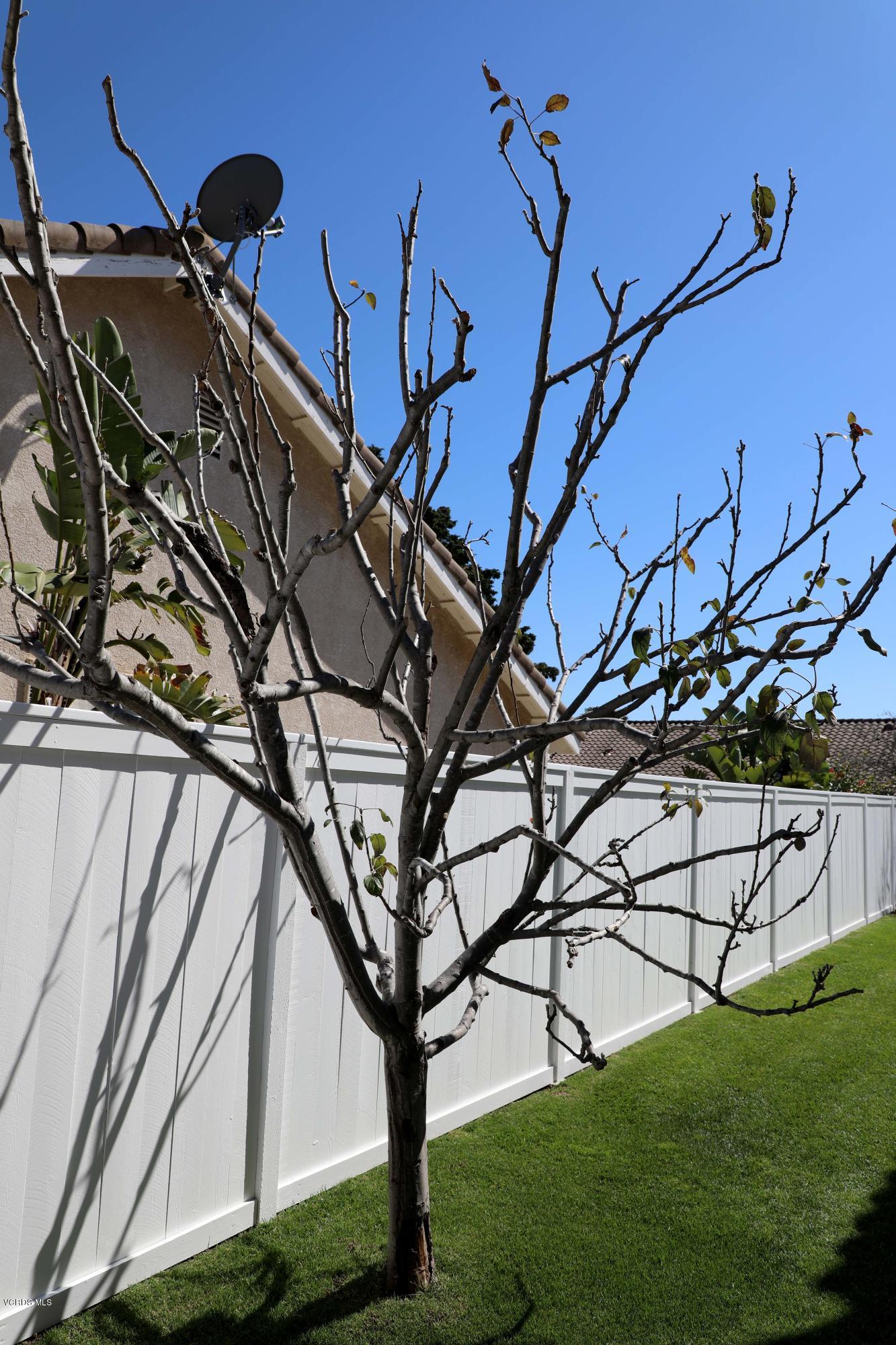 2560 Cabrillo Way Oxnard, CA 93030 - Photo 43 of 52 1S9A0964