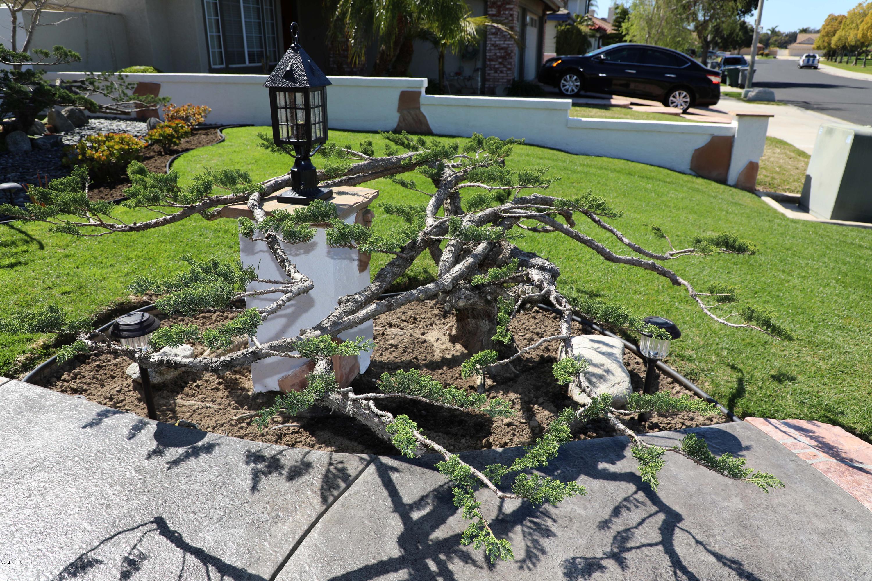 2560 Cabrillo Way Oxnard, CA 93030 - Photo 48 of 52 1S9A0976