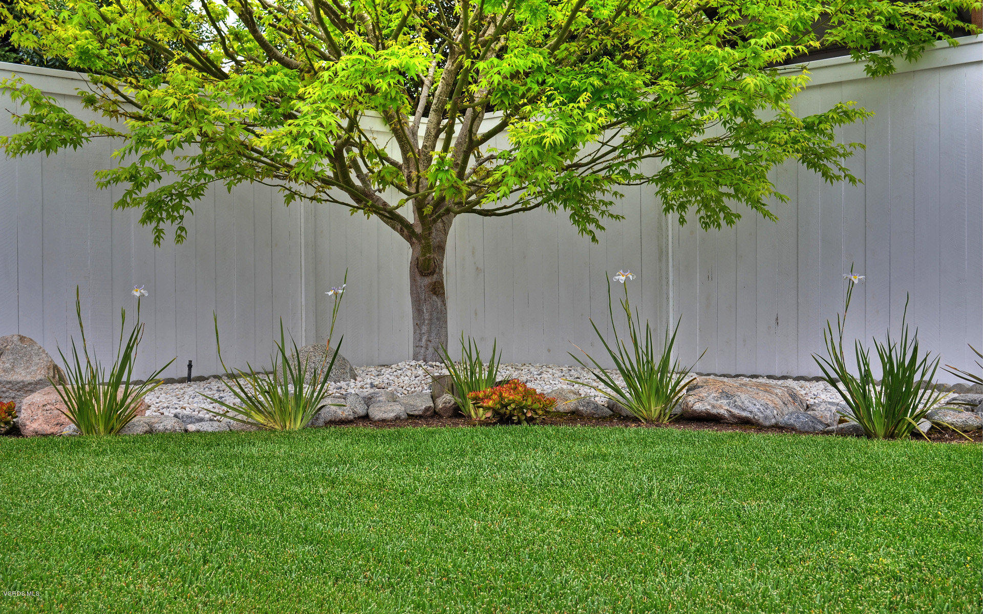 2560 Cabrillo Way Oxnard, CA 93030 - Photo 49 of 52 DSC_0808_maple_&_flowers_1920