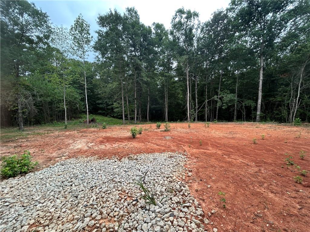 0 Clark Road Roanoke, AL 36274 - Photo 6 of 8 Cleared building site featuring mature tree lines, a gravel pad, and red earth