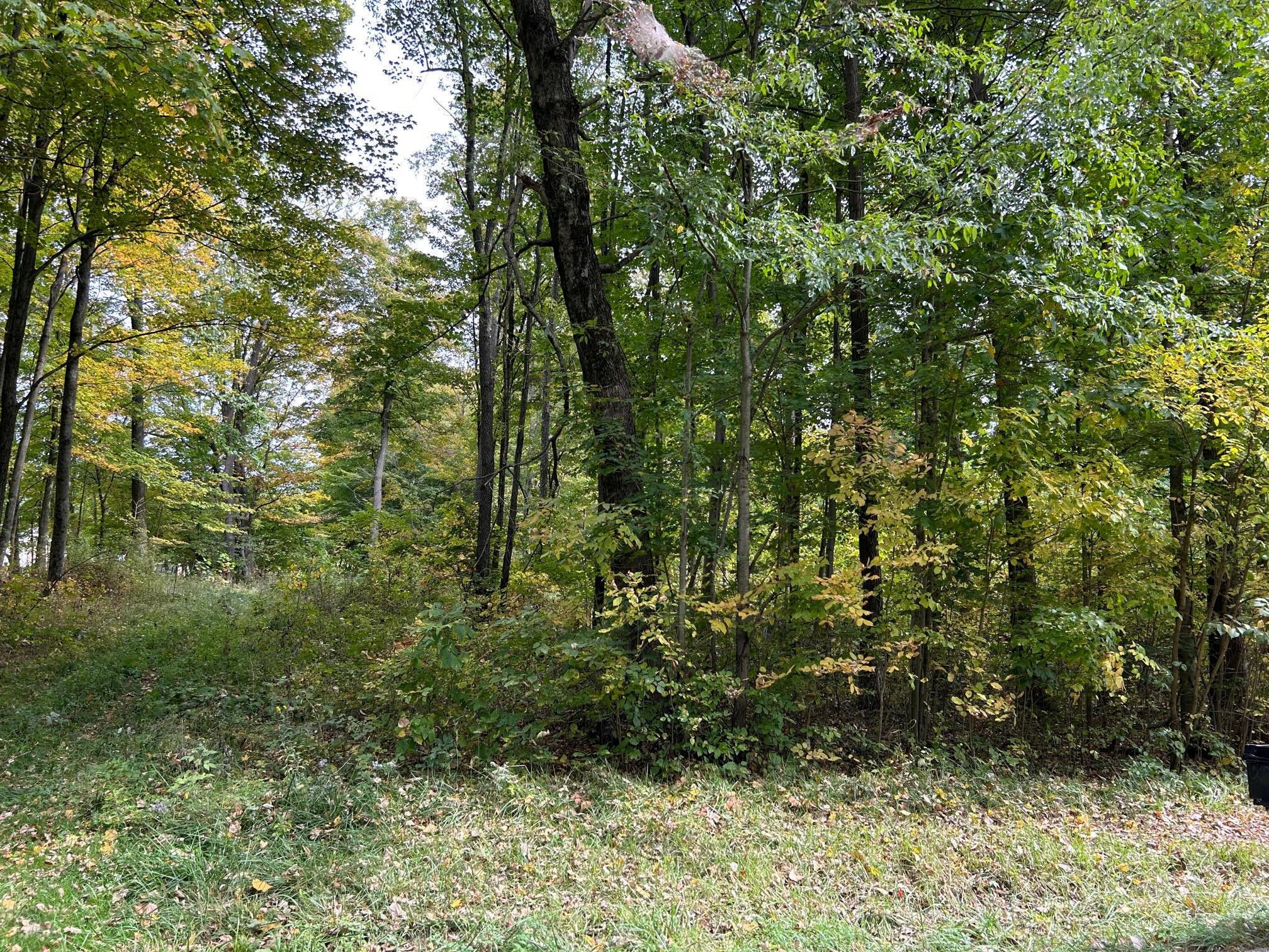 0 Ewart Road Mount Vernon, OH 43050 - Photo 14 of 15 photo14