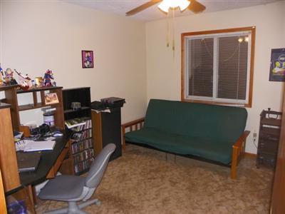 1124 East Pakes Road Stanton, MI 48888 - Photo 9 of 13 Additional Photo