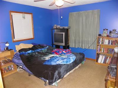 1124 East Pakes Road Stanton, MI 48888 - Photo 10 of 13 Additional Photo