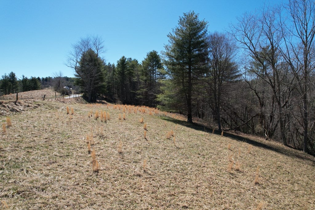 Tbd Pridemoore Road Galax, VA 24333 - Photo 26 of 30 Gallery Image 26