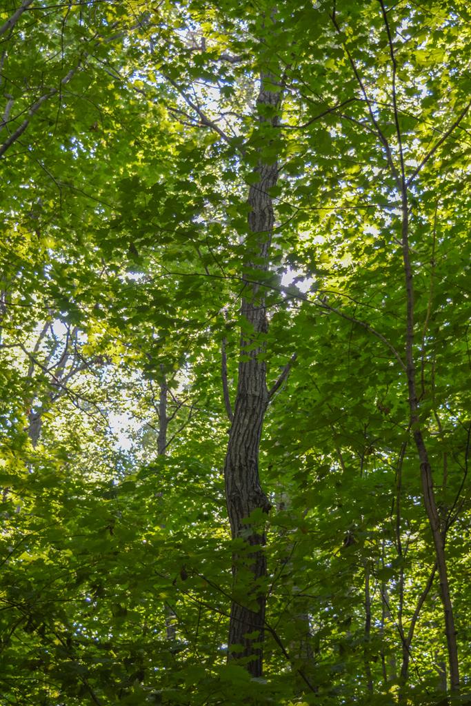 West Whitefish Bay Road Sturgeon Bay, WI 54235 - Photo 24 of 28