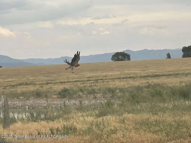$685,000 | Lot 2 Boundless Sky Drive, Tetonia, ID 83452