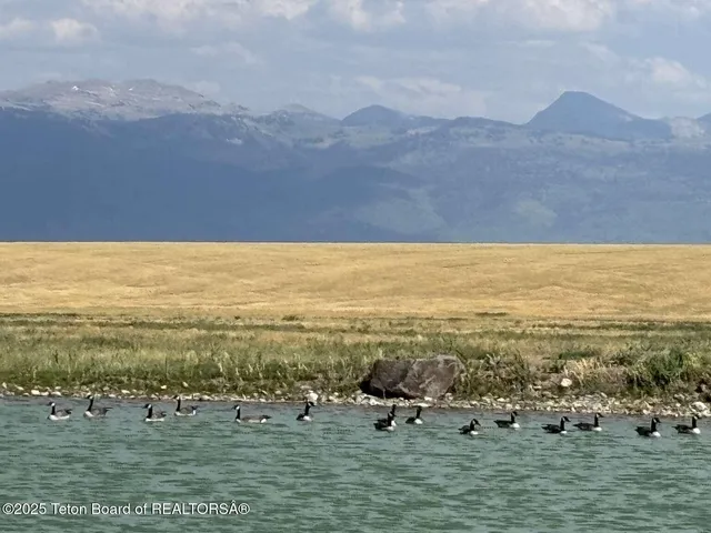 $685,000 | Lot 2 Boundless Sky Drive, Tetonia, ID 83452