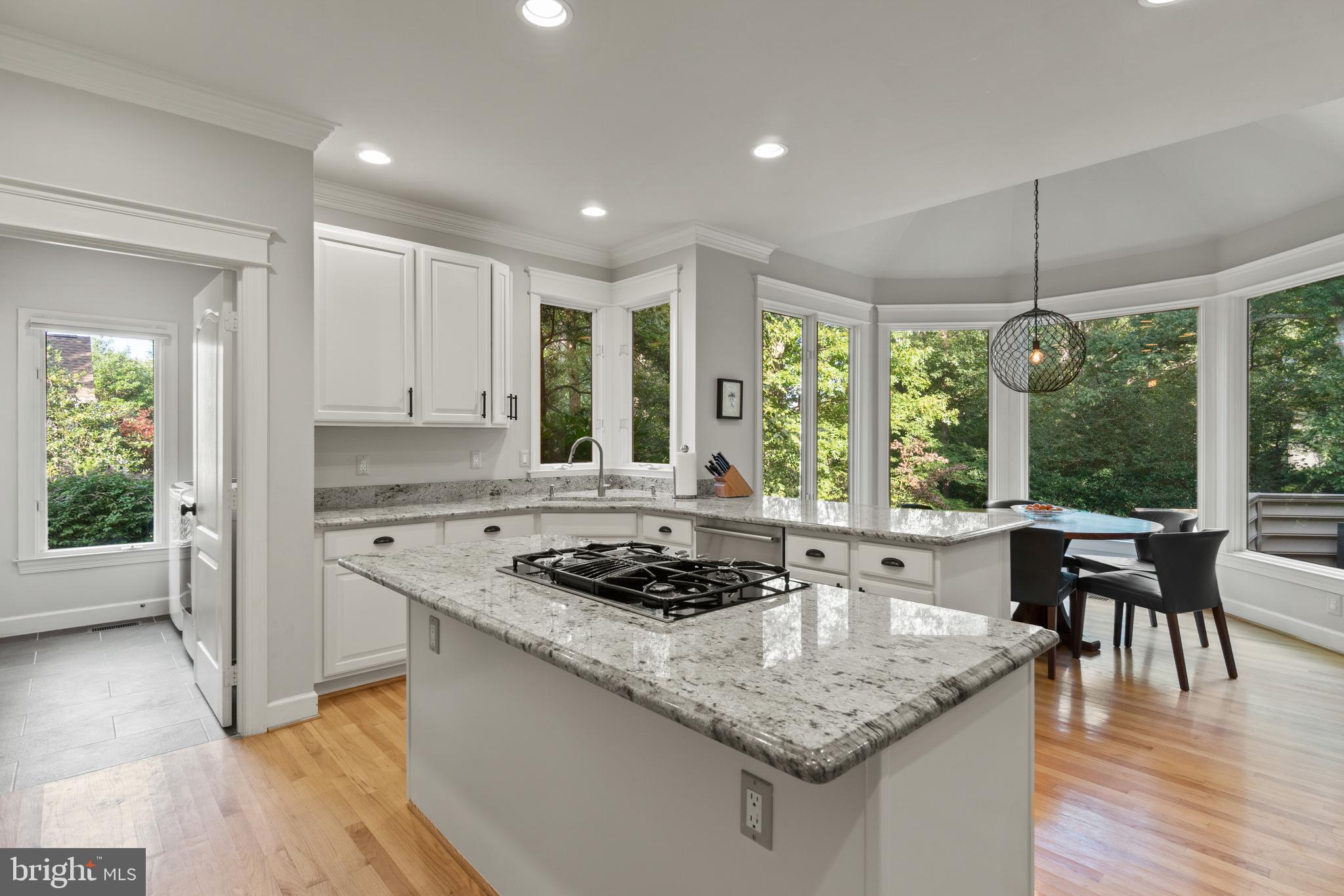 1163 Fieldview Drive Reston, VA 20194 - Photo 8 of 48 Gallery Image 8