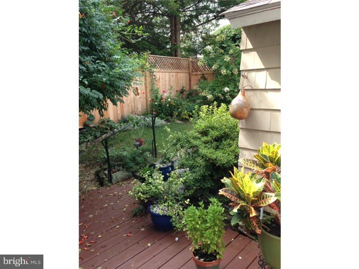 1465 Hampstead Road Wynnewood, PA 19096 - Photo 11 of 13 Exterior Back