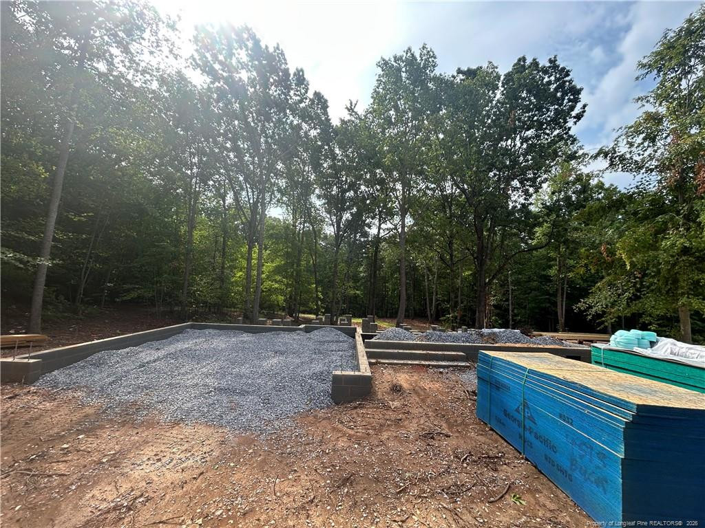 2 Buckhorn Road Moncure, NC 27559 - Photo 4 of 4 Photo 4