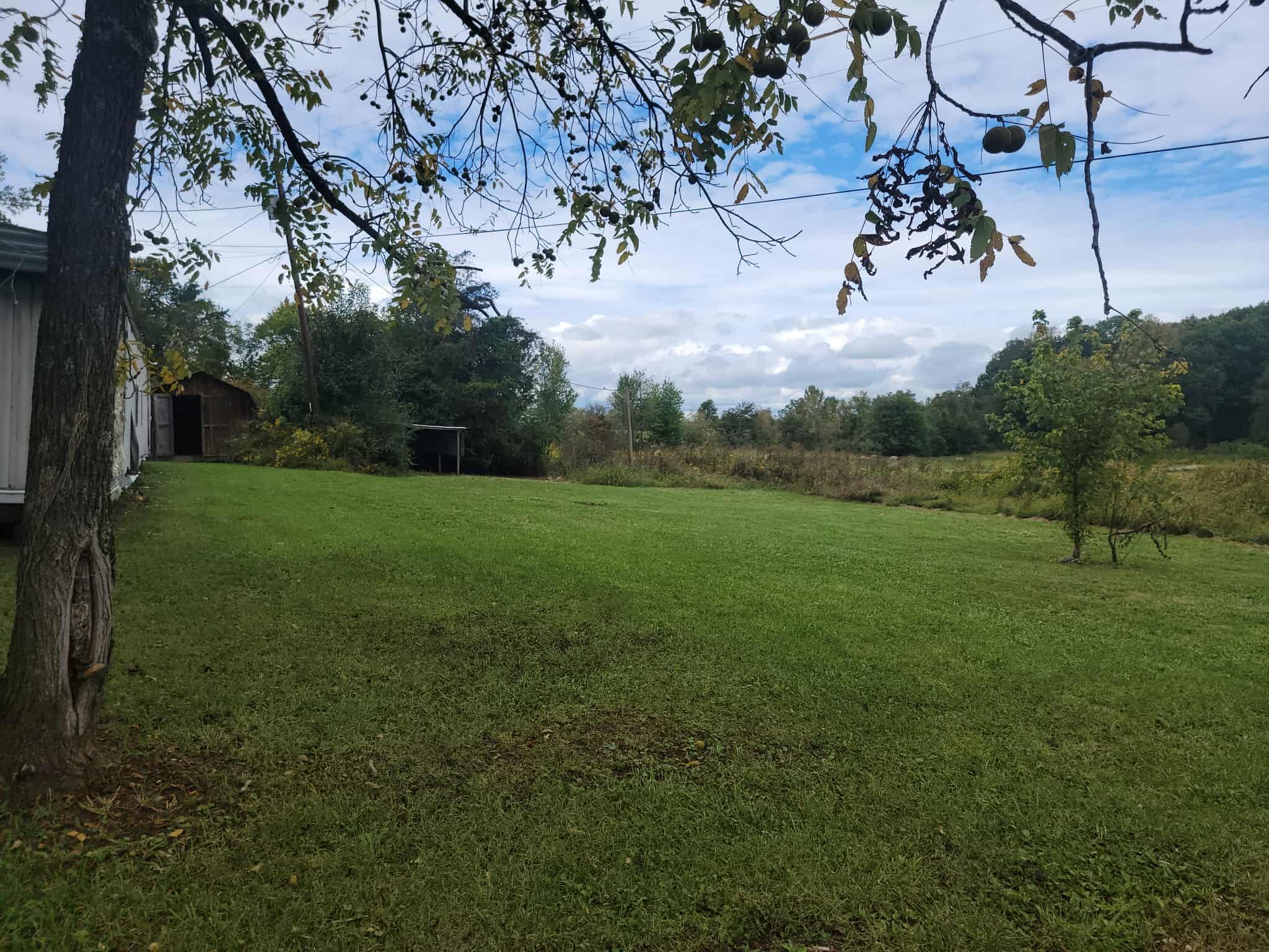 370 Reffitt Road Jeffersonville, KY 40337 - Photo 15 of 15 att.93IVvNe6RXtx1eccjI2mDiYOvtb1oAx5zYJZ